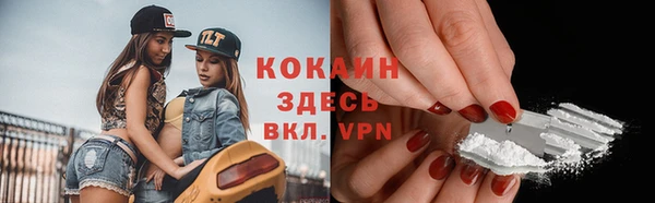 молекула духа Протвино