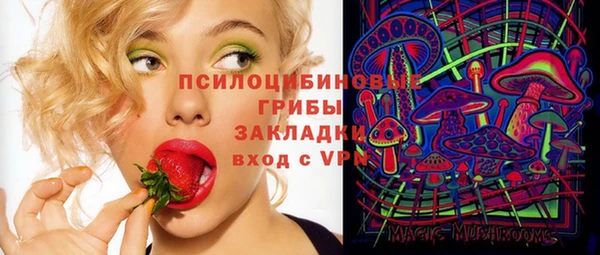 молекула духа Протвино