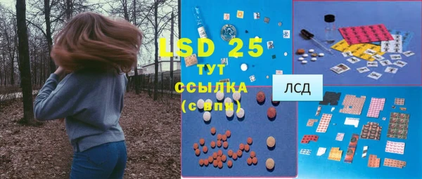 гидра Рославль