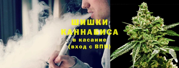 сатива Приозерск